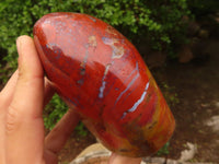 Polished Red Jasper Standing Free Forms  x 2 From Madagascar - Toprock Gemstones and Minerals 