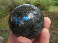 Polished Labradorite Spheres With Nice Subtle Flash x 6 From Tulear, Madagascar - TopRock