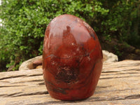 Polished Red Jasper Standing Free Forms  x 2 From Madagascar - Toprock Gemstones and Minerals 