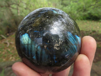 Polished Labradorite Spheres With Nice Subtle Flash x 6 From Tulear, Madagascar - TopRock