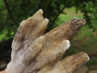 Natural Drusi Quartz Coated Calcite Pseudomorph Specimens  x 12 From Alberts Mountain, Lesotho - TopRock