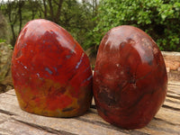 Polished Red Jasper Standing Free Forms  x 2 From Madagascar - Toprock Gemstones and Minerals 