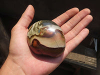 Polished Polychrome / Picasso Jasper Domes  x 6 From Madagascar - TopRock