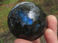 Polished Labradorite Spheres With Nice Subtle Flash x 6 From Tulear, Madagascar - TopRock