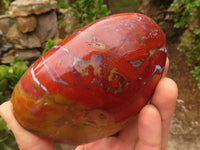 Polished Red Jasper Standing Free Forms  x 2 From Madagascar - Toprock Gemstones and Minerals 