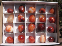 Polished Vibrant Red Carnelian Agate Eggs  x 20 From Madagascar - TopRock