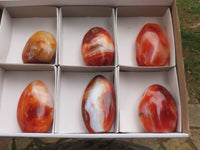 Polished Gorgeous Carnelian Agate Standing Free Forms  x 6 From Madagascar - TopRock