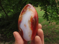 Polished Gorgeous Carnelian Agate Standing Free Forms  x 6 From Madagascar - TopRock