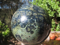 Polished Stromatolite / Kambamba Jasper Spheres  x 2 From Katsepy, Madagascar - Toprock Gemstones and Minerals 