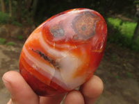 Polished Gorgeous Carnelian Agate Standing Free Forms  x 6 From Madagascar - TopRock