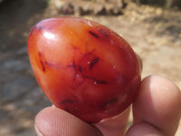 Polished Vibrant Red Carnelian Agate Eggs  x 20 From Madagascar - TopRock