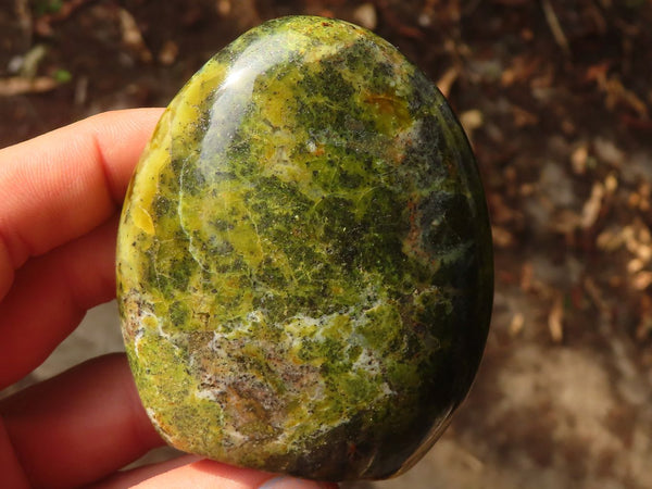 Polished  Green Opal Standing Free Forms  x 6 From Madagascar