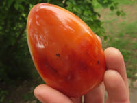 Polished Gorgeous Carnelian Agate Standing Free Forms  x 6 From Madagascar - TopRock