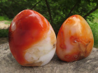 Polished Gorgeous Carnelian Agate Standing Free Forms  x 6 From Madagascar - TopRock