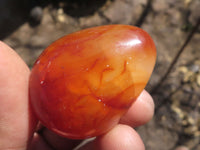 Polished Vibrant Red Carnelian Agate Eggs  x 20 From Madagascar - TopRock