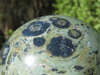 Polished Stromatolite / Kambamba Jasper Spheres  x 2 From Katsepy, Madagascar - Toprock Gemstones and Minerals 