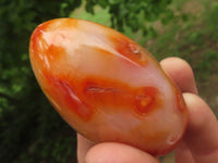 Polished Gorgeous Carnelian Agate Standing Free Forms  x 6 From Madagascar - TopRock