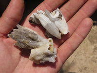 Natural Drusy Quartz Coated Calcite Pseudomorph Specimens  x 35 From Alberts Mountain, Lesotho - TopRock