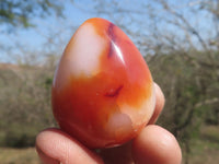 Polished Vibrant Red Carnelian Agate Eggs  x 20 From Madagascar - TopRock