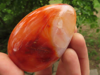 Polished Gorgeous Carnelian Agate Standing Free Forms  x 6 From Madagascar - TopRock