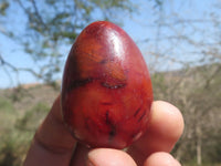 Polished Vibrant Red Carnelian Agate Eggs  x 20 From Madagascar - TopRock