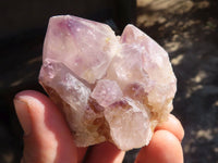 Natural Spirit Amethyst Quartz Clusters  x 12 From Boekenhouthoek, South Africa - Toprock Gemstones and Minerals 