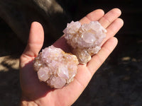 Natural Spirit Amethyst Quartz Clusters  x 12 From Boekenhouthoek, South Africa - Toprock Gemstones and Minerals 