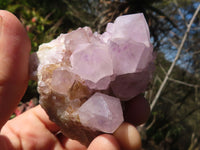 Natural Spirit Amethyst Quartz Clusters  x 12 From Boekenhouthoek, South Africa - Toprock Gemstones and Minerals 