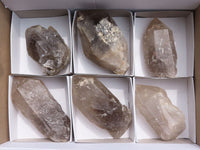 Polished Single Smokey Quartz Crystals (One With Golden Rutile) x 6 From Erongo, Namibia - TopRock