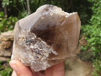 Polished Single Smokey Quartz Crystals (One With Golden Rutile) x 6 From Erongo, Namibia - TopRock