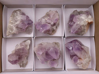 Natural Jacaranda Amethyst Clusters  x 6 From Mumbwa, Zambia - Toprock Gemstones and Minerals 