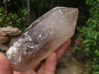 Polished Single Smokey Quartz Crystals (One With Golden Rutile) x 6 From Erongo, Namibia - TopRock