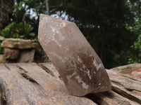 Polished Single Smokey Quartz Crystals (One With Golden Rutile) x 6 From Erongo, Namibia - TopRock