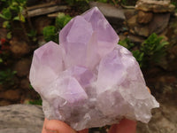 Natural Jacaranda Amethyst Clusters  x 6 From Mumbwa, Zambia - Toprock Gemstones and Minerals 