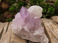 Natural Jacaranda Amethyst Clusters  x 6 From Mumbwa, Zambia - Toprock Gemstones and Minerals 