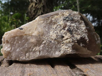 Polished Single Smokey Quartz Crystals (One With Golden Rutile) x 6 From Erongo, Namibia - TopRock