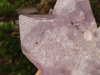 Natural Jacaranda Amethyst Clusters  x 6 From Mumbwa, Zambia - Toprock Gemstones and Minerals 