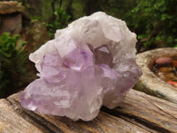 Natural Jacaranda Amethyst Clusters  x 6 From Mumbwa, Zambia - Toprock Gemstones and Minerals 