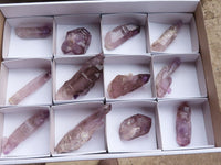 Natural Large Window Amethyst Crystals  x 12 From Zimbabwe