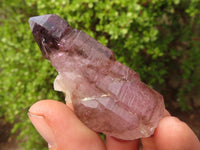 Natural Large Window Amethyst Crystals  x 12 From Zimbabwe