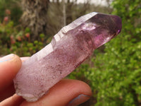 Natural Large Window Amethyst Crystals  x 12 From Zimbabwe