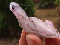 Natural Large Window Amethyst Crystals  x 12 From Zimbabwe