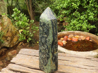 Polished Large Stromatolite / Kambamba Jasper Point x 1 From Madagascar - Toprock Gemstones and Minerals 