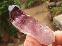 Natural Large Window Amethyst Crystals  x 12 From Zimbabwe