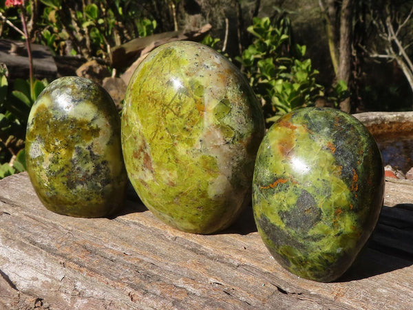 Polished Green Opal Standing Free Forms  x 3 From Madagascar - Toprock Gemstones and Minerals 