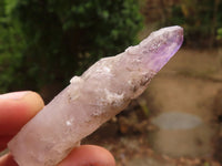 Natural Large Window Amethyst Crystals  x 12 From Zimbabwe