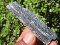 Natural Single Blue Kyanite Crystals  x 35 From Karoi, Zimbabwe - Toprock Gemstones and Minerals 