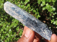 Natural Single Blue Kyanite Crystals  x 35 From Karoi, Zimbabwe - Toprock Gemstones and Minerals 