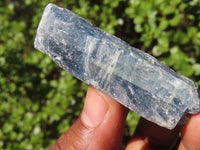 Natural Single Blue Kyanite Crystals  x 35 From Karoi, Zimbabwe - Toprock Gemstones and Minerals 