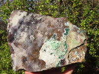 Natural Salrose Cobaltion Dolomite Specimen x 1 From Kakanda, Congo